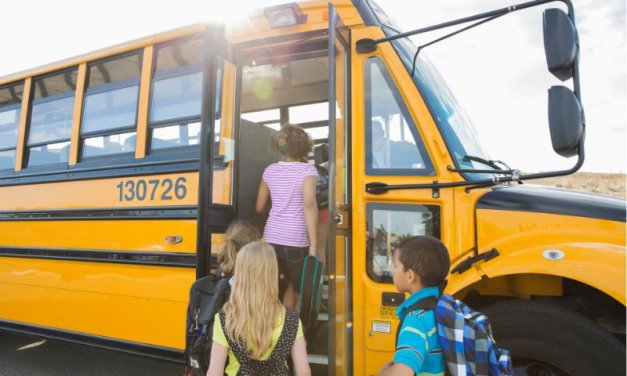 Co odwiedzić podczas wycieczki szkolnej w Szczecinie? Przewodnik, który pokochają i uczniowie, i nauczyciele