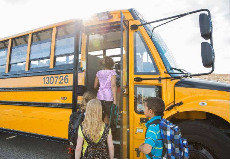 Co odwiedzić podczas wycieczki szkolnej w Szczecinie? Przewodnik, który pokochają i uczniowie, i nauczyciele